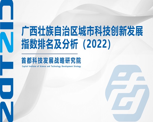 骚逼成年视频【成果发布】广西壮族自治区城市科技创新发展指数排名及分析（2022）